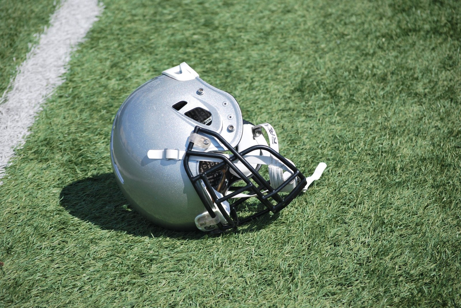Baby Gronk helmet